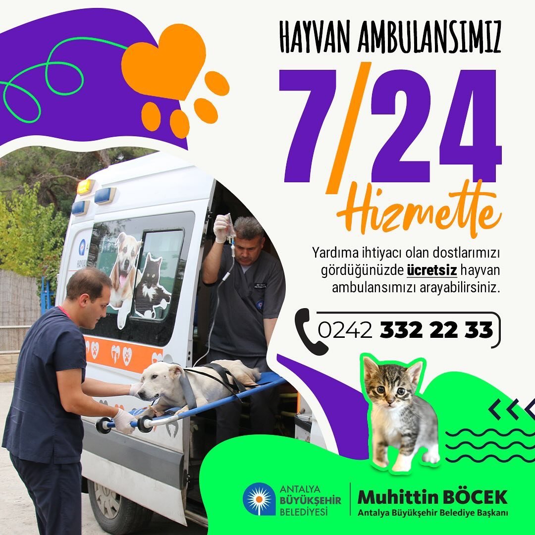 Antalya Büyükşehir Belediyesi olarak, yaralı ve yardıma muhtaç hayvan dostlarımı