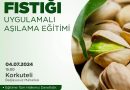 Antalya Büyükşehir Belediyesi, Antep fıstığı yetiştiriciliği eğitimiyle şehrimiz