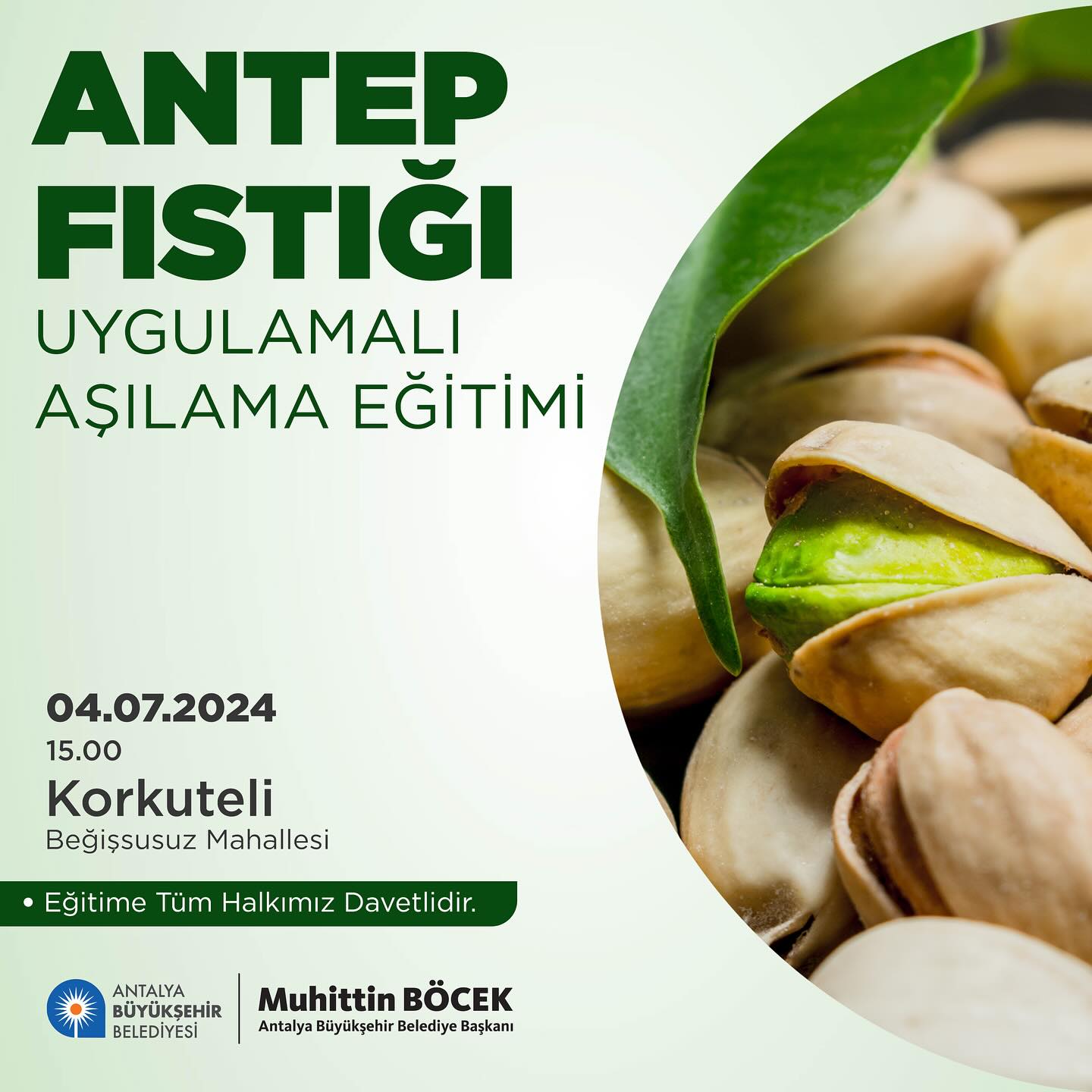 Antalya Büyükşehir Belediyesi, Antep fıstığı yetiştiriciliği eğitimiyle şehrimiz