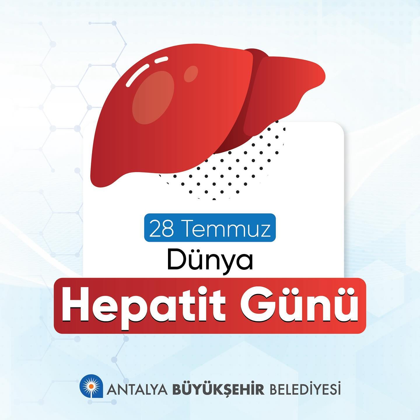 Dünya Hepatit Birliği tarafından, hepatit farkındalığını artırmak amacı ile 28 T