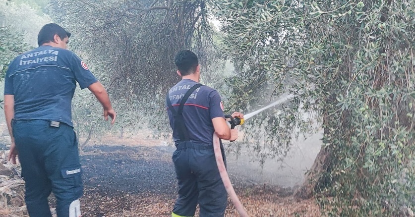 Orman yangınına anında müdahale ettik 

Antalya Büyükşehir Belediyesi olarak, Se