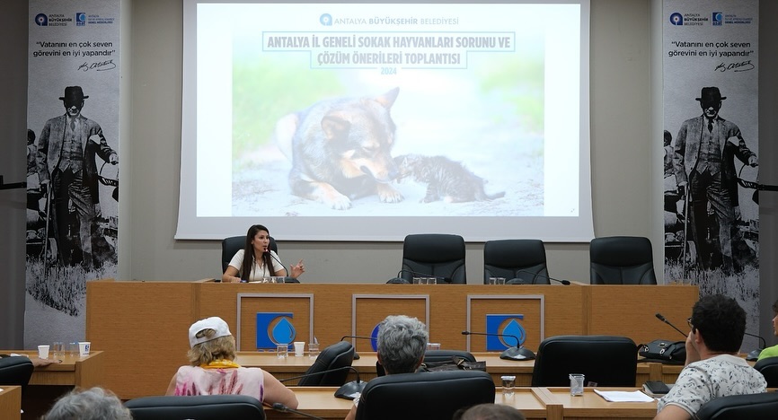 Sahipsiz sokak hayvanları toplantılarımızı sürdürüyoruz 

Antalya Büyükşehir Bel
