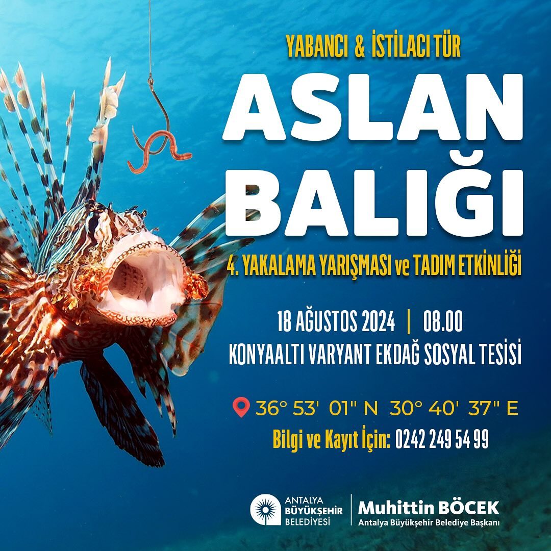 Denizlerimizde yerel balık popülasyonunu olumsuz etkileyen zararlı istilacı türl