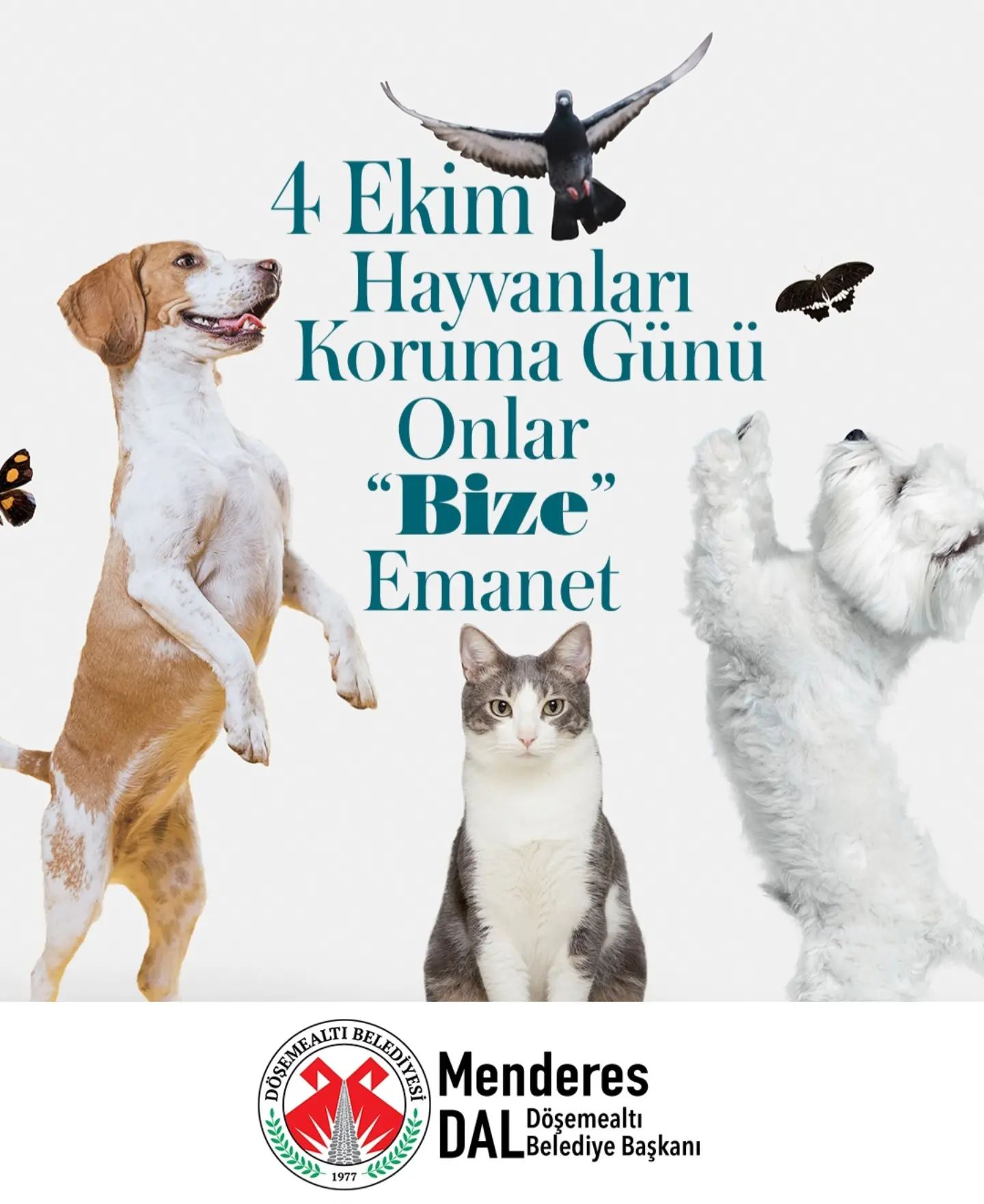 4 Ekim Dünya Hayvanları Koruma Günü kutu olsun. Hayat onlarla güzel….