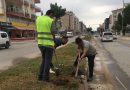 Belediye ekiplerimiz Döşemealtımız için çalışmaya devam ediyor….