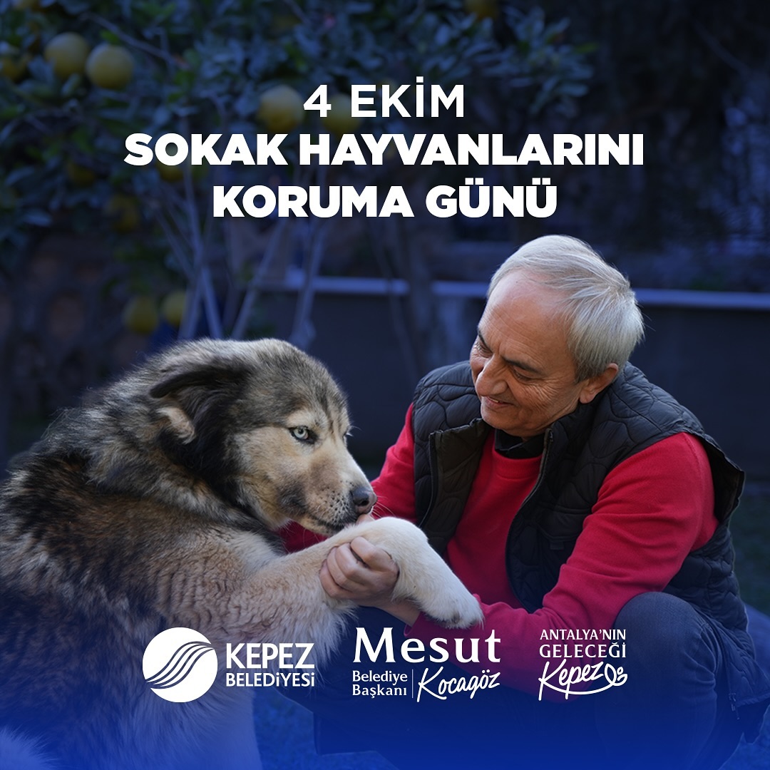 Bugün, Sokak Hayvanlarını Koruma Günü!