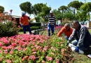 Antalya Muratpaşa’nın renkli emeği