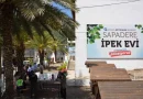 Antalya Büyükşehir’den üreticiye ipek böceği beslenme tablası