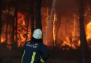 Antalya’da 4 farklı noktada orman yangını çıktı