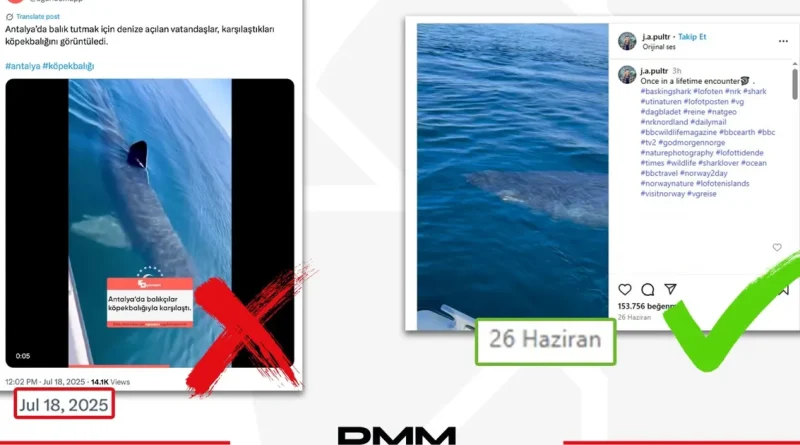 Antalya’da köpekbalığı iddiası dezenformasyon çıktı… DMM: O video Norveç’ten!