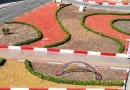 Antalya’da kurakçıl peyzajla hem tasarruf hem estetik sağlanıyor