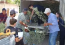 Antalya’nın 19 ilçesine 40 bin zeytin fidanı desteği