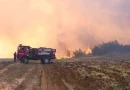Son 1 haftada 624 orman yangını