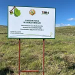 TEMA gönüllüsü Sezen Aksu, Pakize Suda adını hatıra ormanı ile yaşatacak