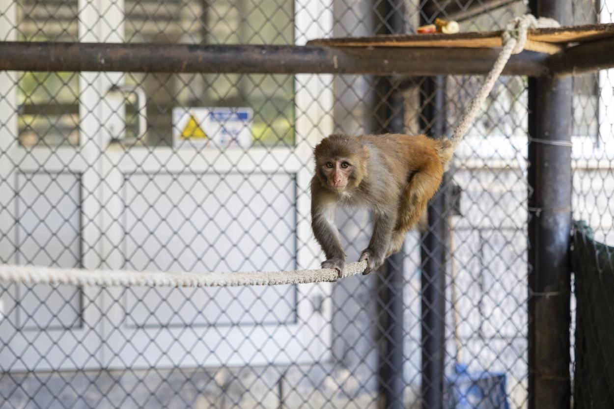 Antalya Döşemealtı’na 123 kilometrelik dev altyapı yatırımı