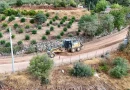 Antalya’nın kırsalında asfalt seferberliği