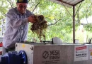 Antalya’da pekmez üreticisine teknolojik destek