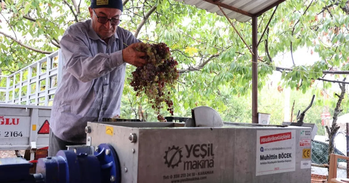 Antalya’da pekmez üreticisine teknolojik destek