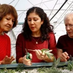 Antalya’da ‘Tıbbi ve Aromatik Bitki Yetiştiriciliği’ kursu ilgi görüyor