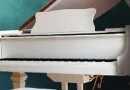 Antalya’da Uluslararası Piyano Festivali başlıyor