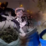 29 ilde dev uyuşturucu operasyonu! 1,6 ton madde ve 750 bin hap ele geçirildi