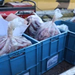 Antalya otogarında 270 kilo uygunsuz taşınan et bulundu