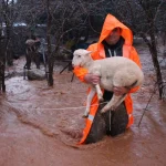 Antalya’da ekipler olumsuzluklara müdahale etti