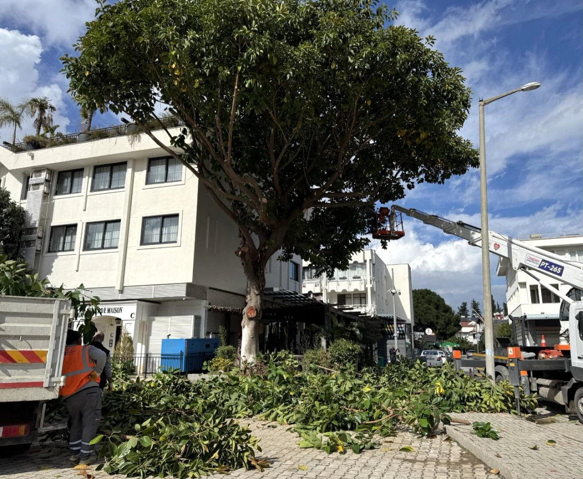 Antalya Büyükşehir Kemerde Bahar İçin Çevre Düzenlemesi Başlattı