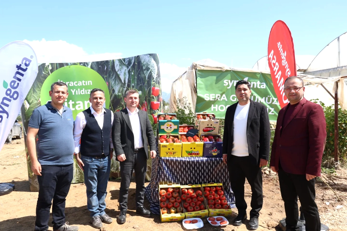 Antalya Aksuda Tarım Gününde California Biber ve Saitama Domatesi Keşfi