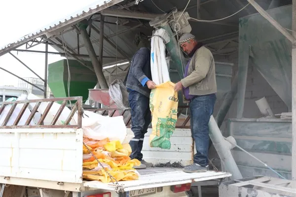 Korkuteli Yazır’da Üreticinin Yem Çilesi Bitti