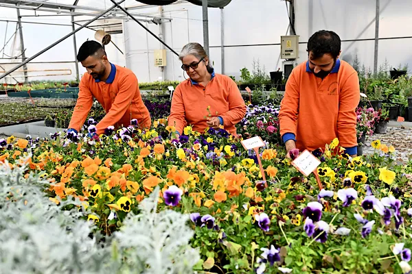 Muratpaşa’da bitki üretim tesisi ile sürdürülebilir üretim yapılıyor