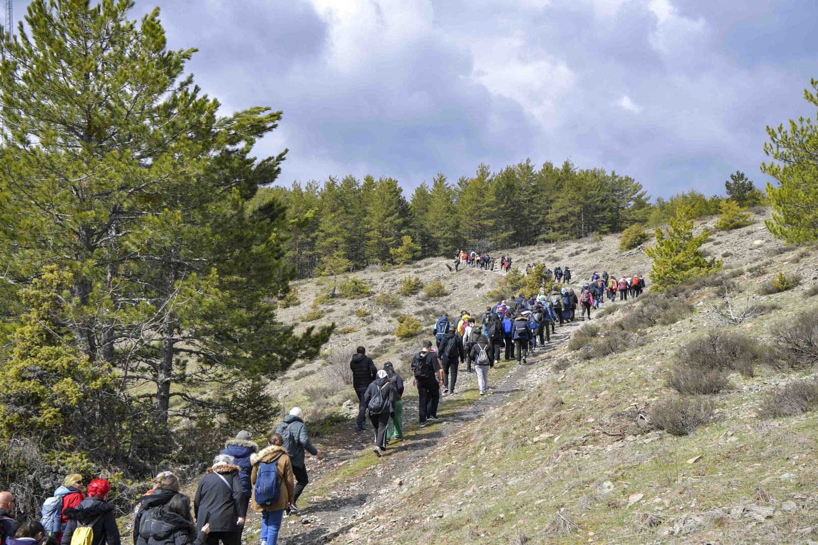 Ankara’da Doğa Yürüyüşü: 200 Kişi Şahinler Tabiat Parkı’nda Buluştu