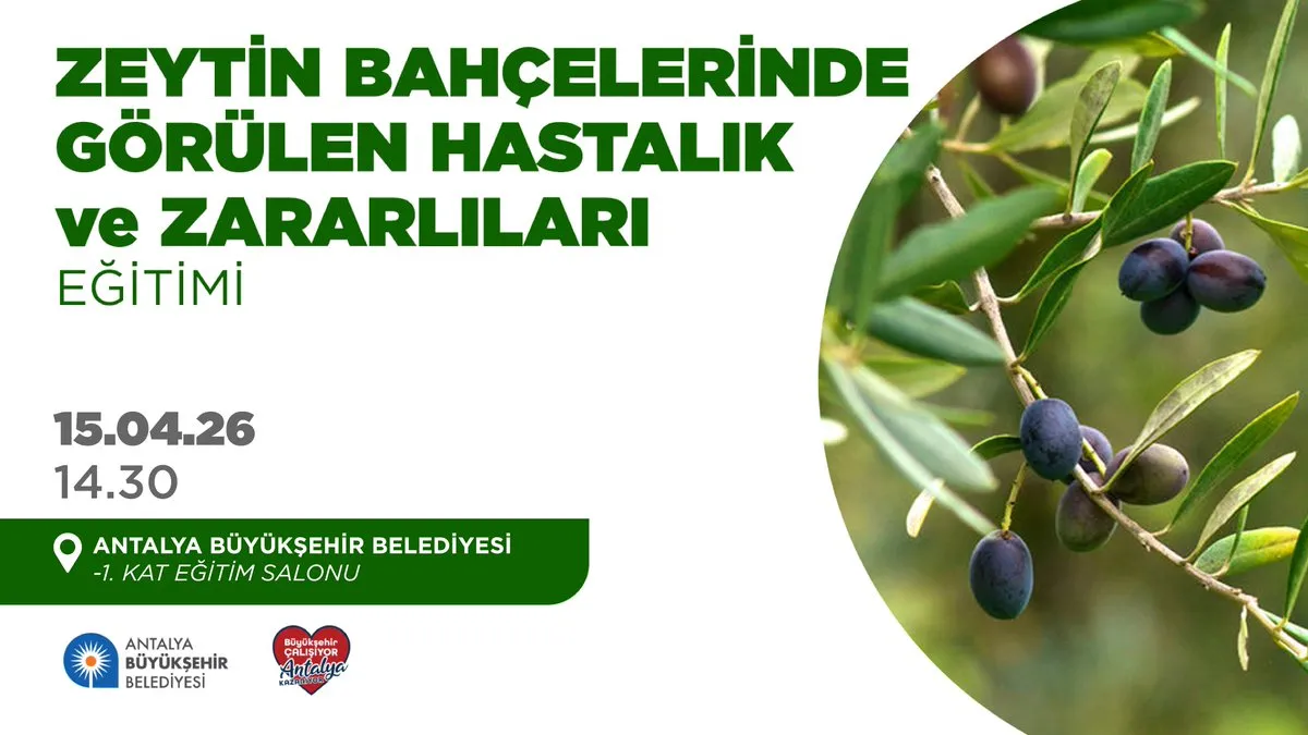 Antalya Zeytin Eğitimi: Hastalık ve Zararlılarla Mücadele