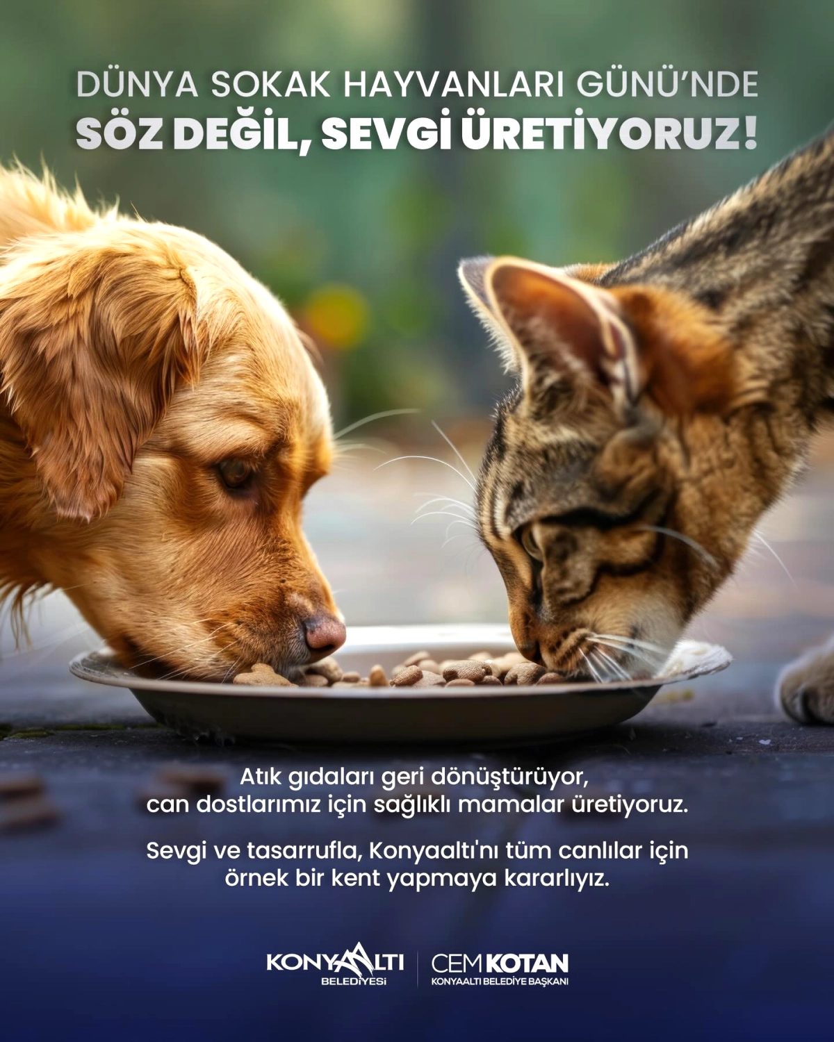 Antalya’da Belediye, Atık Gıdaları Sokak Hayvanlarına Mama Yaptı