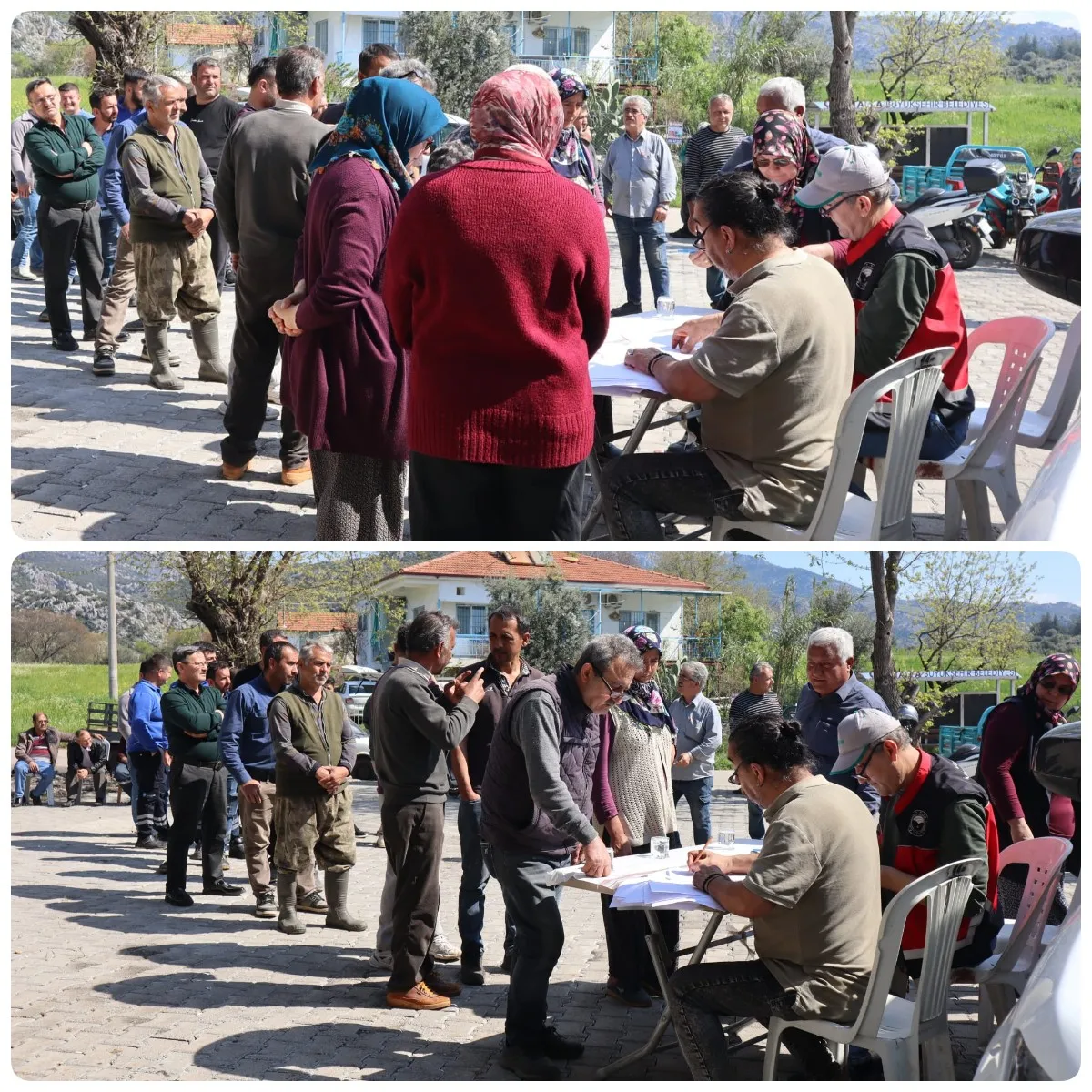 Antalya’da Çiftçilere 7 Bin Zeytin Fidanı Dağıtıldı, Ceviz Aşıları Kontrol Edildi
