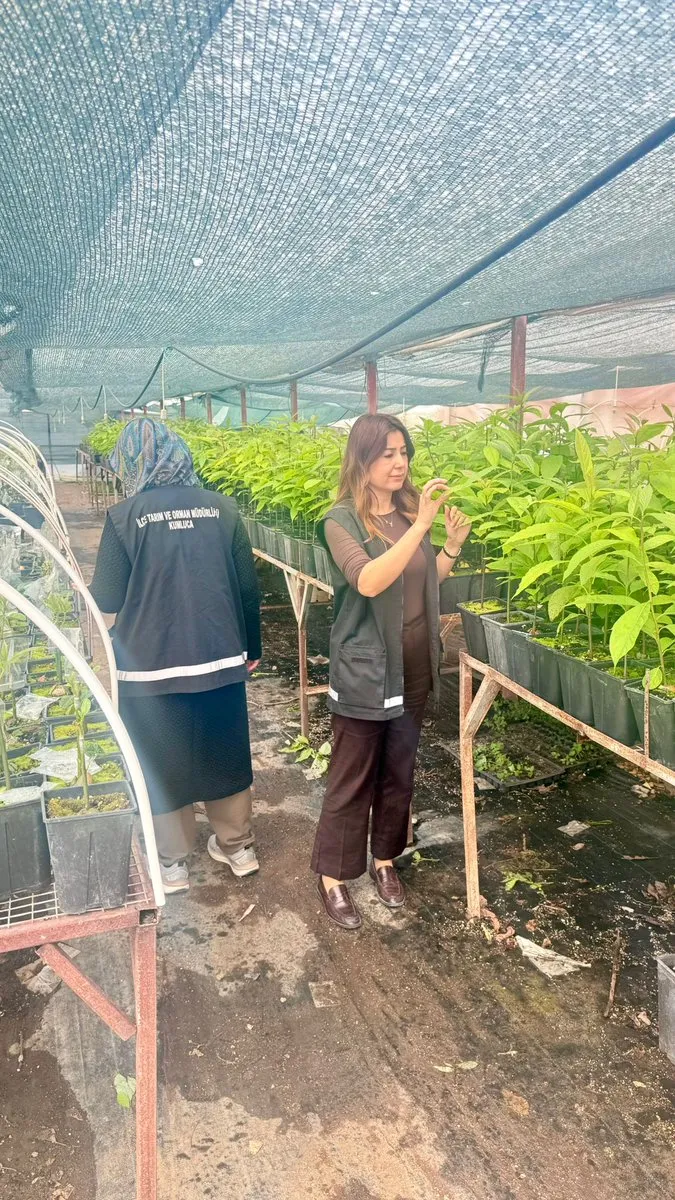 Antalya’da Çiftçilere Destek: Fidanlık ve Meyve Bahçeleri Denetlendi