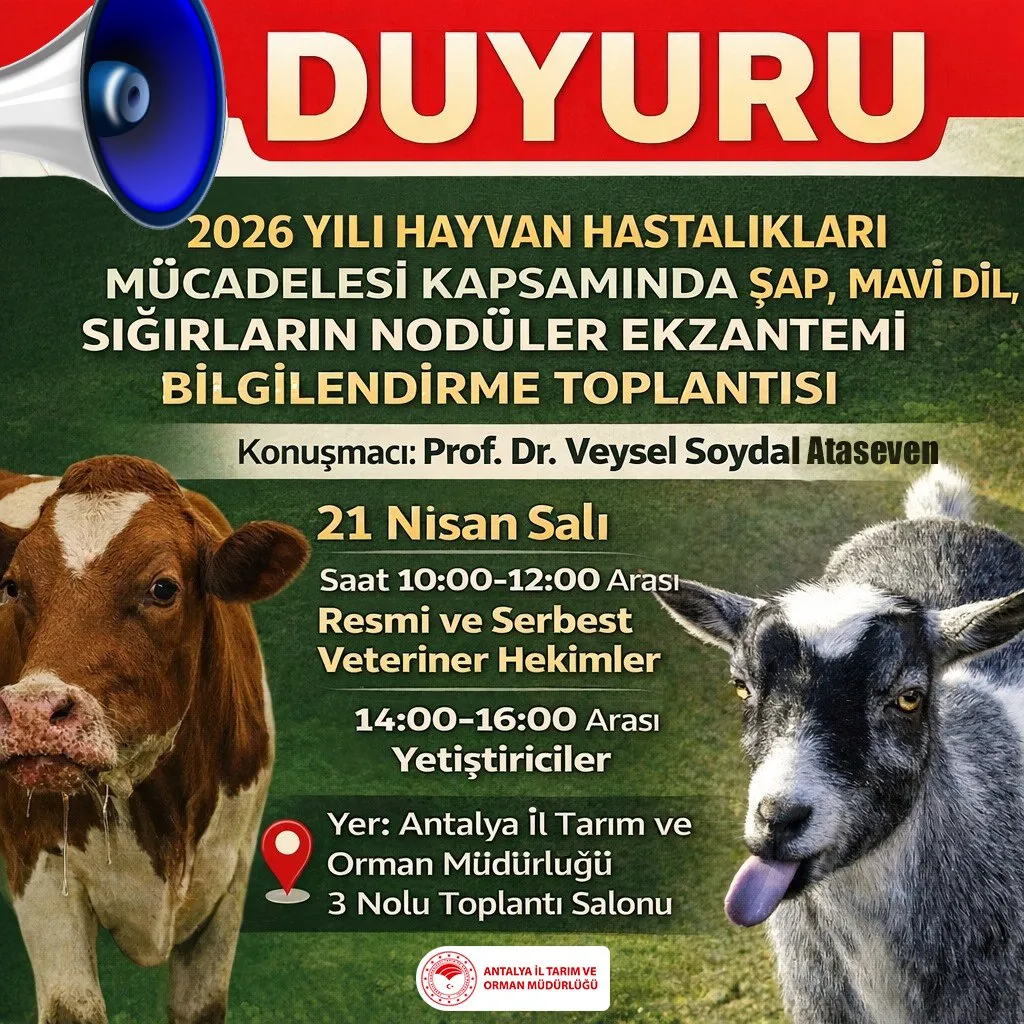 Antalya’da Hayvan Hastalıklarına Kritik Eğitim: 21 Nisan’da Ücretsiz Toplantı