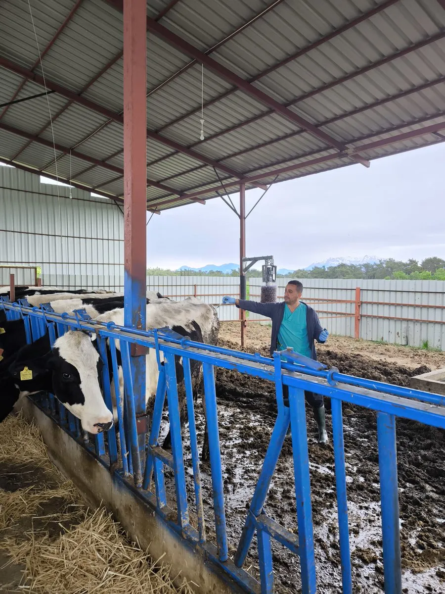 Antalya’da Hayvan Sağlığı İçin Kritik Adım: Aşılar Uygulandı