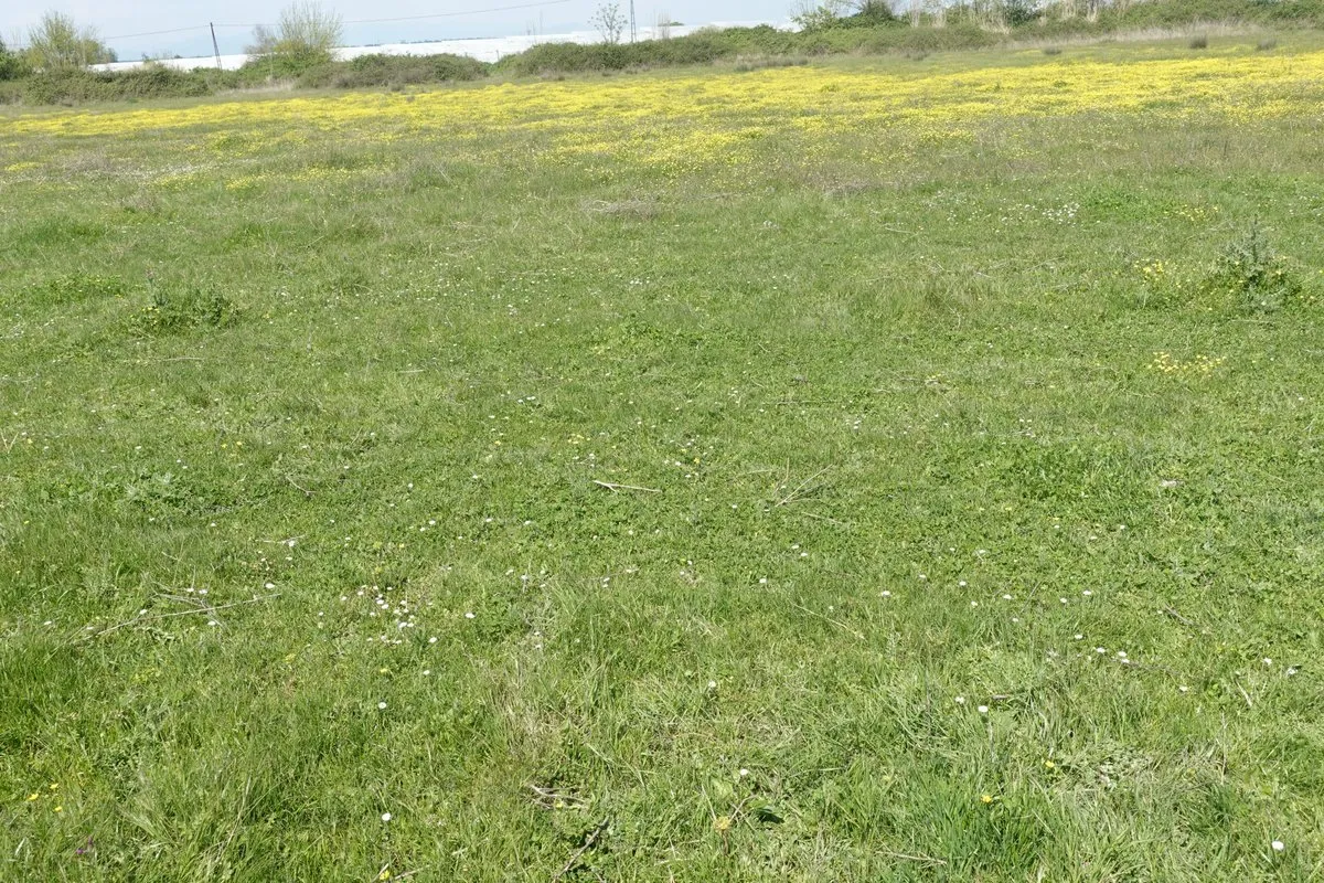 Antalya’da Meralar Otlatma Mevsimi Öncesi Ölçüme Alındı