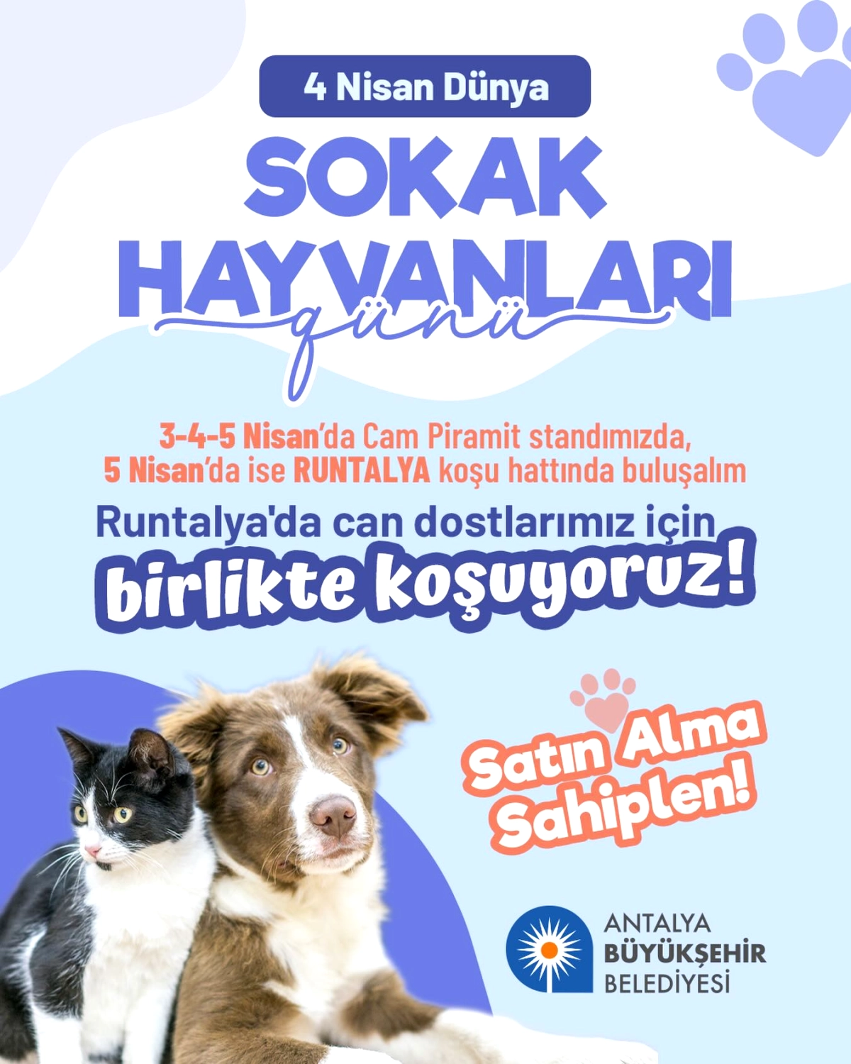 Antalya’da Sokak Hayvanları İçin Koşu Etkinlikleri: 3-5 Nisan