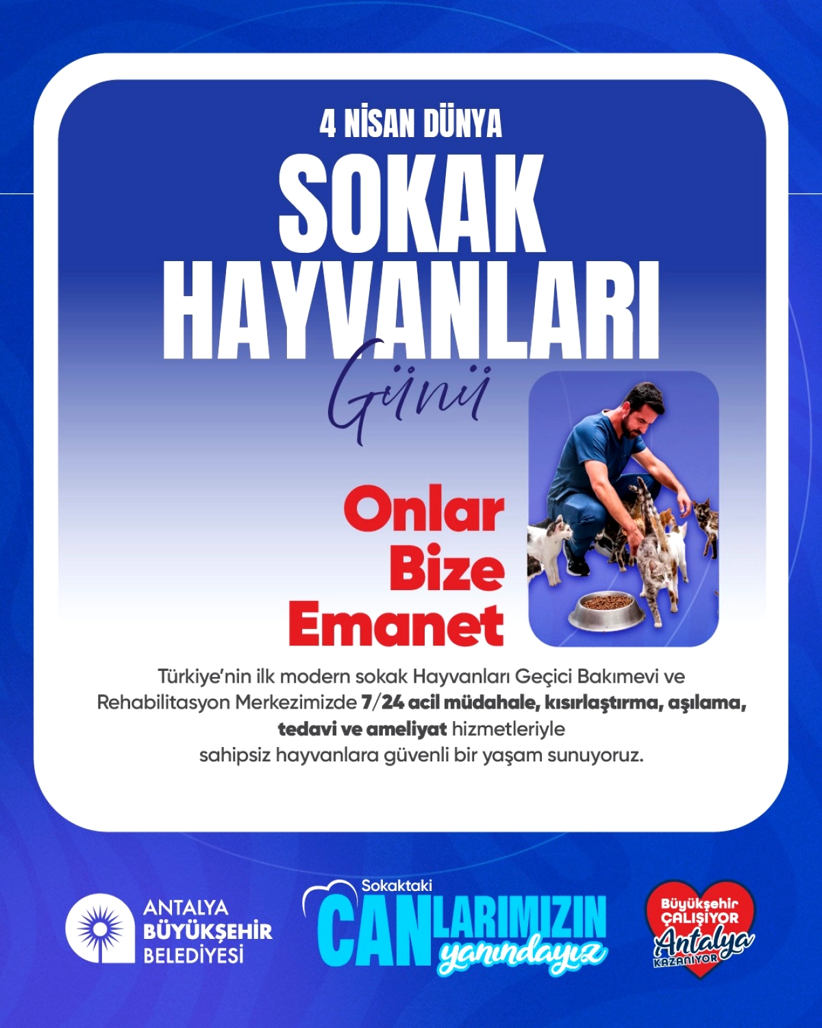 Antalya’da Sokak Hayvanları İçin Türkiye’nin İlk Modern Bakımevi