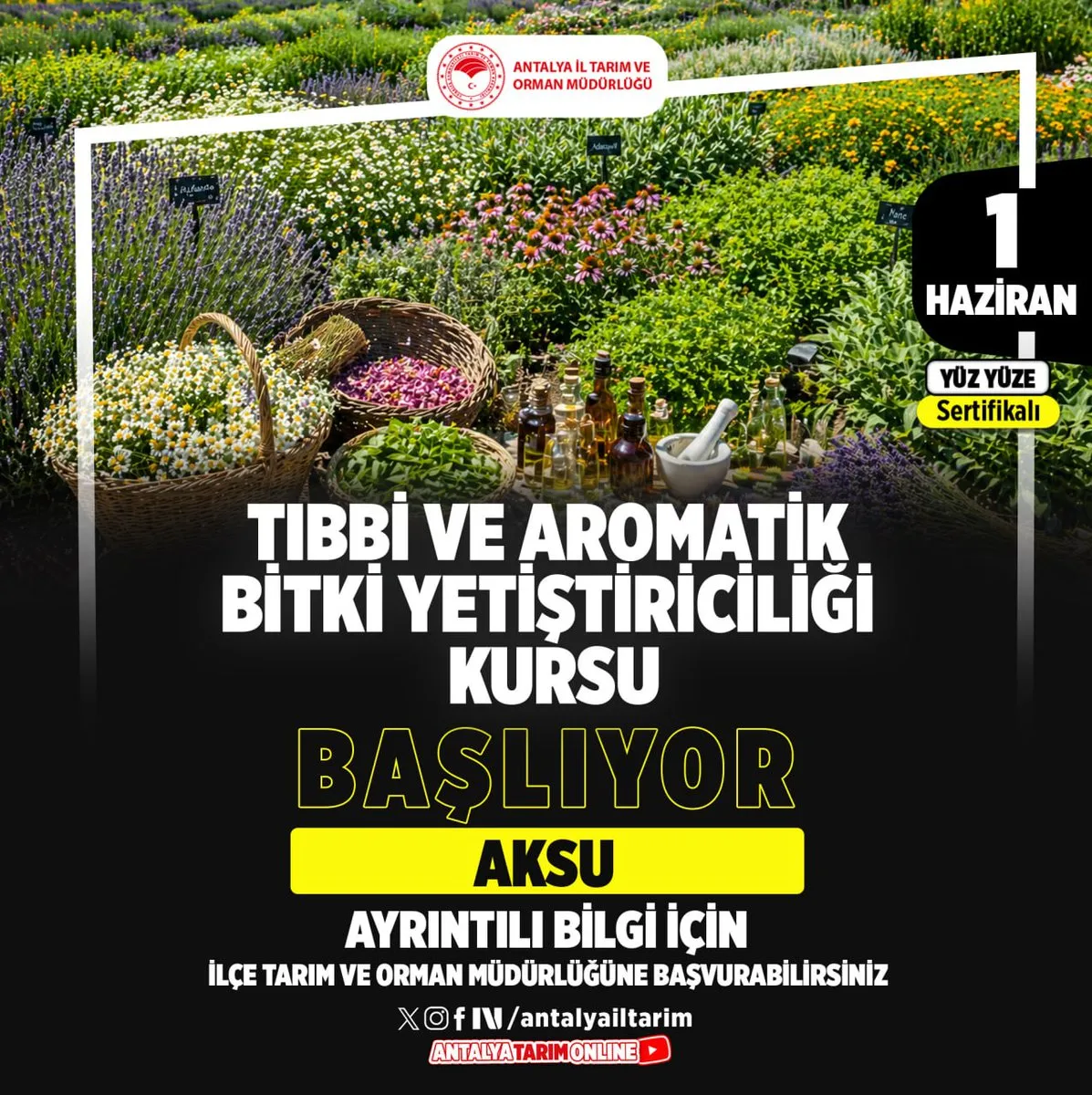 Antalya’da Tıbbi Bitki Yetiştiriciliği Kursu Açılıyor