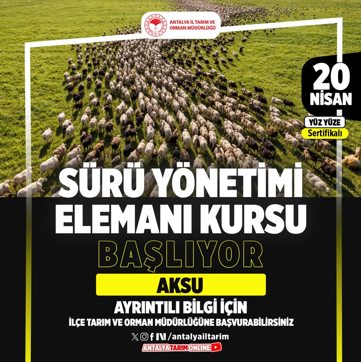 Antalya’da Tıbbi ve Aromatik Bitki Yetiştiriciliği Kursu 20 Nisan’da Başlıyor