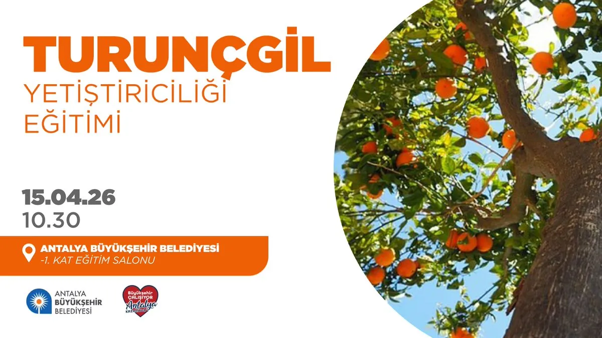 Antalya’da Ücretsiz Turunçgil Eğitimi: Üreticilere Fırsat Kapısı