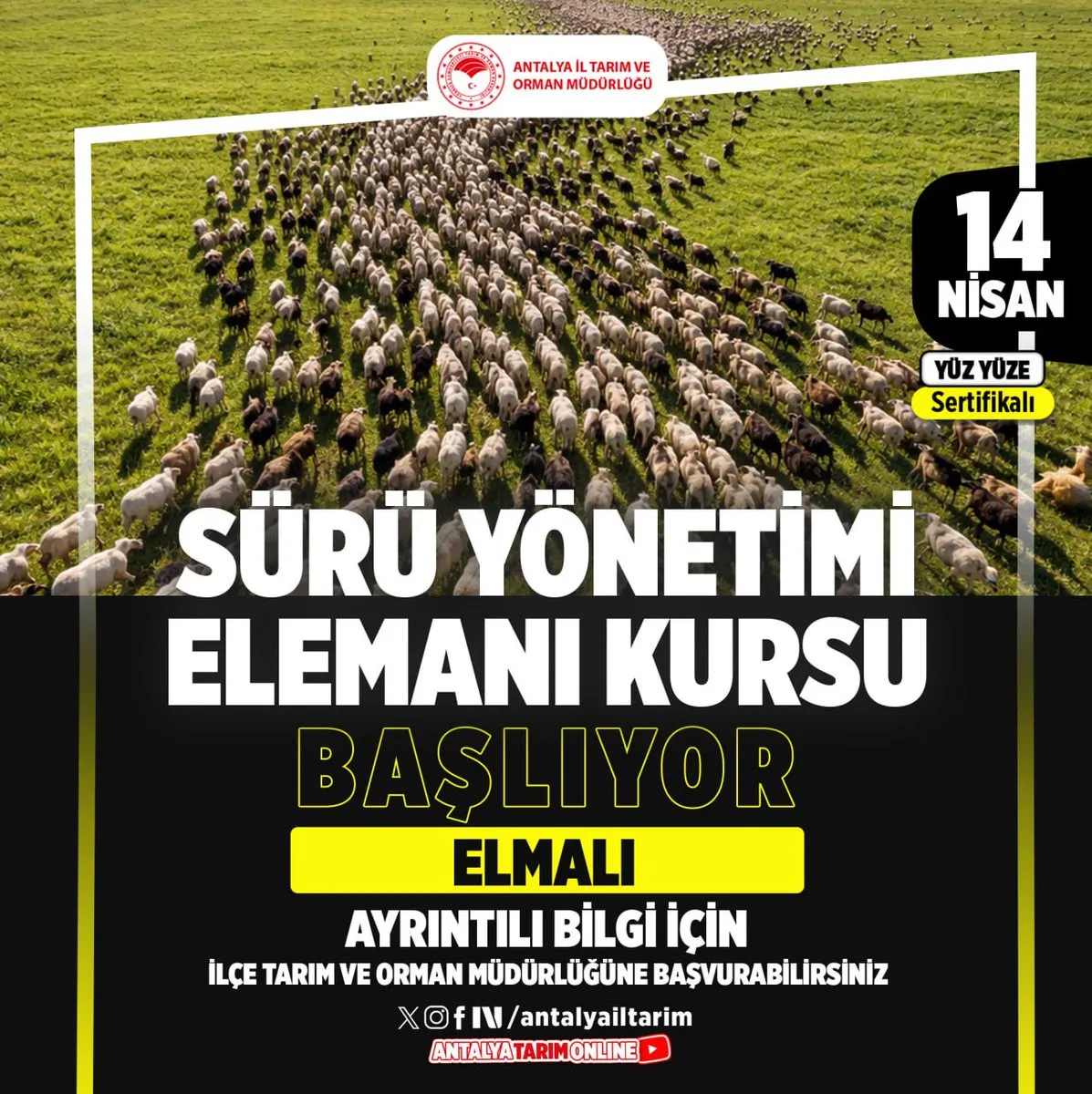 Elmalı’da Sürü Yönetimi Elemanı Kursu Başlıyor