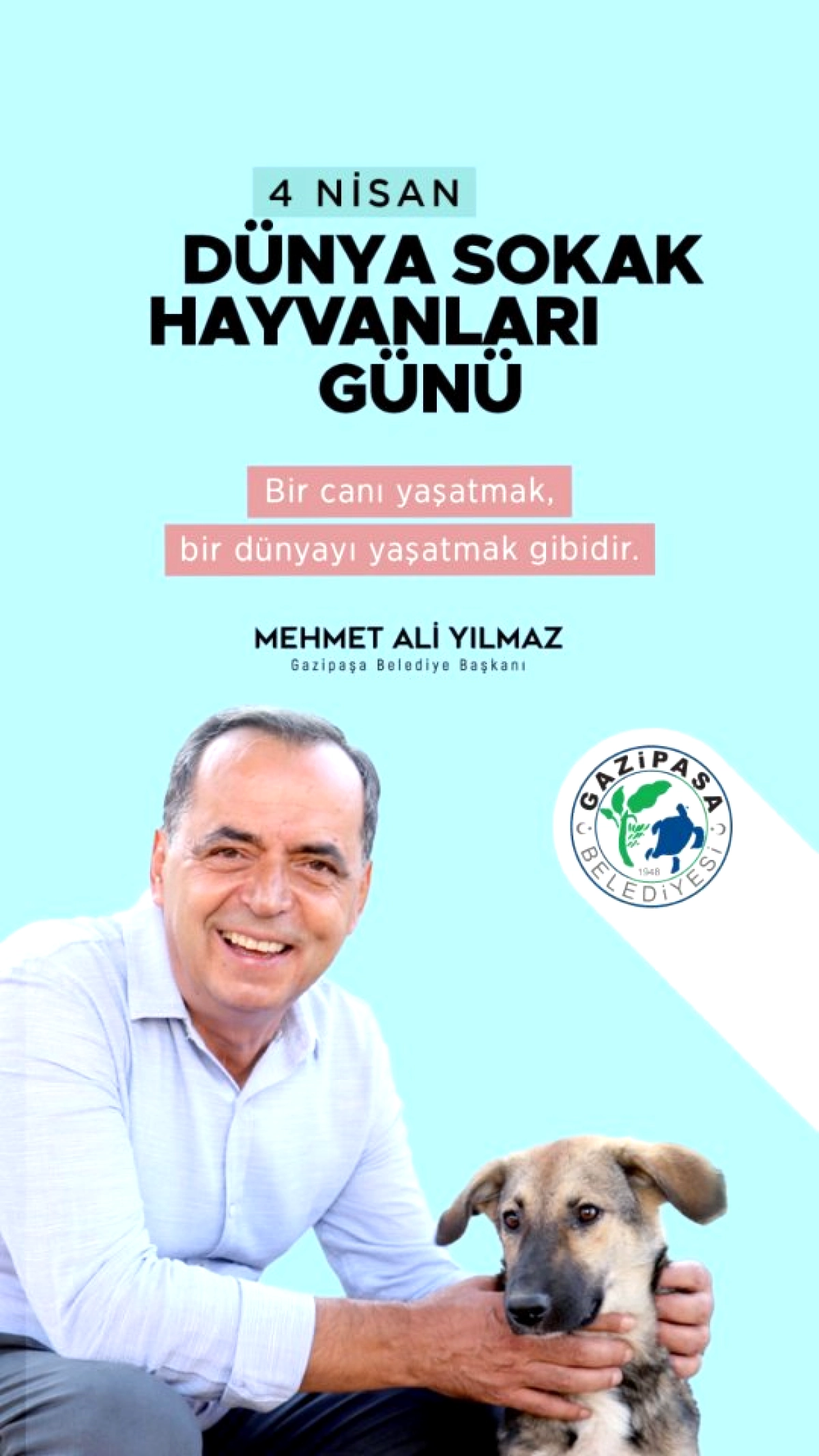 Gazipaşa Belediyesi Sokak Hayvanları İçin Özveriyle Çalışıyor