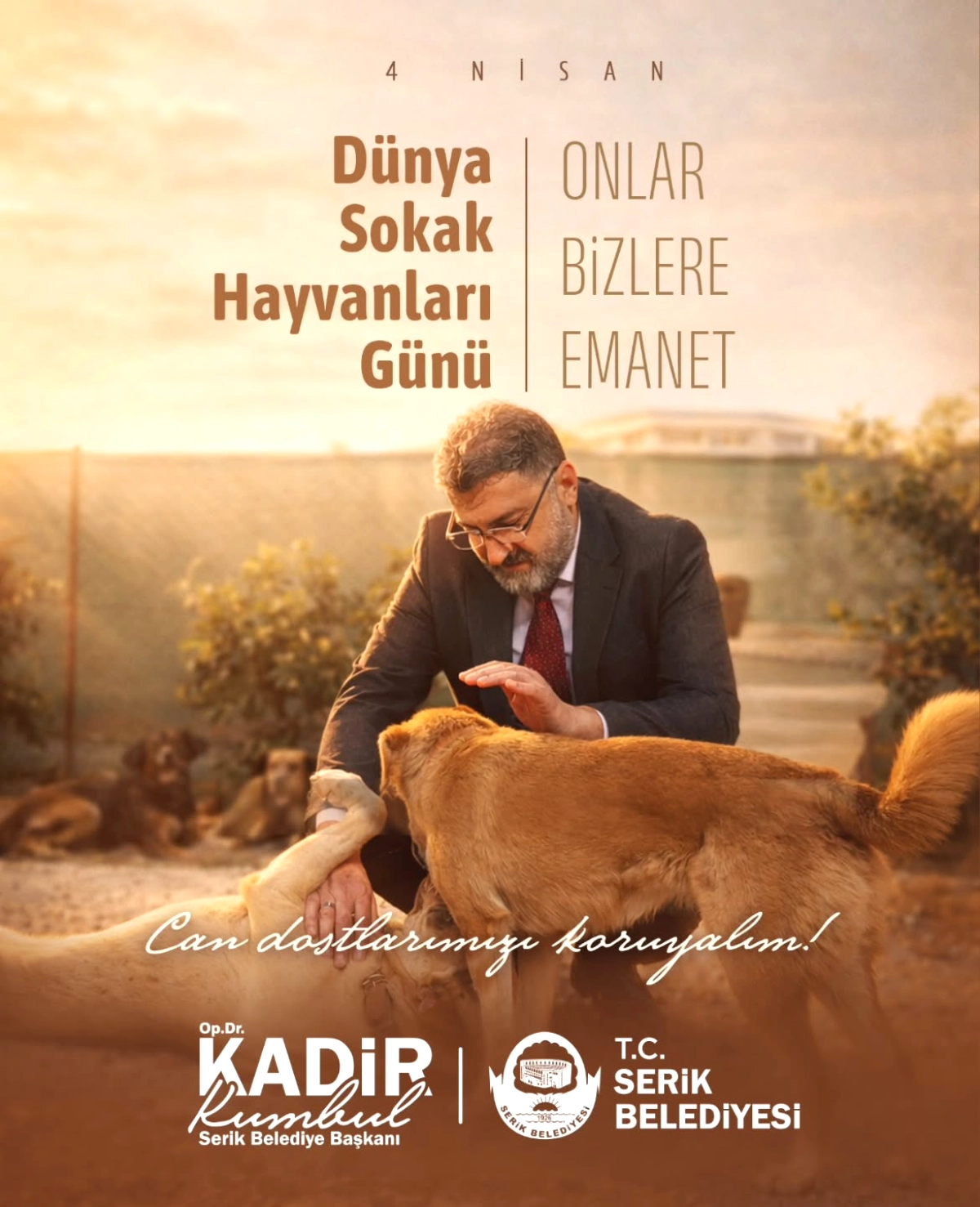 Serik Belediyesi’nden Sokak Hayvanları İçin Belirleyici Çağrı: “Onlar Bizlere Emanet”