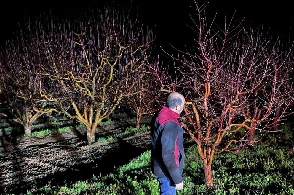 Zirai Don Riski: 11 Nisan’a Kadar Üreticiler Uyarıldı