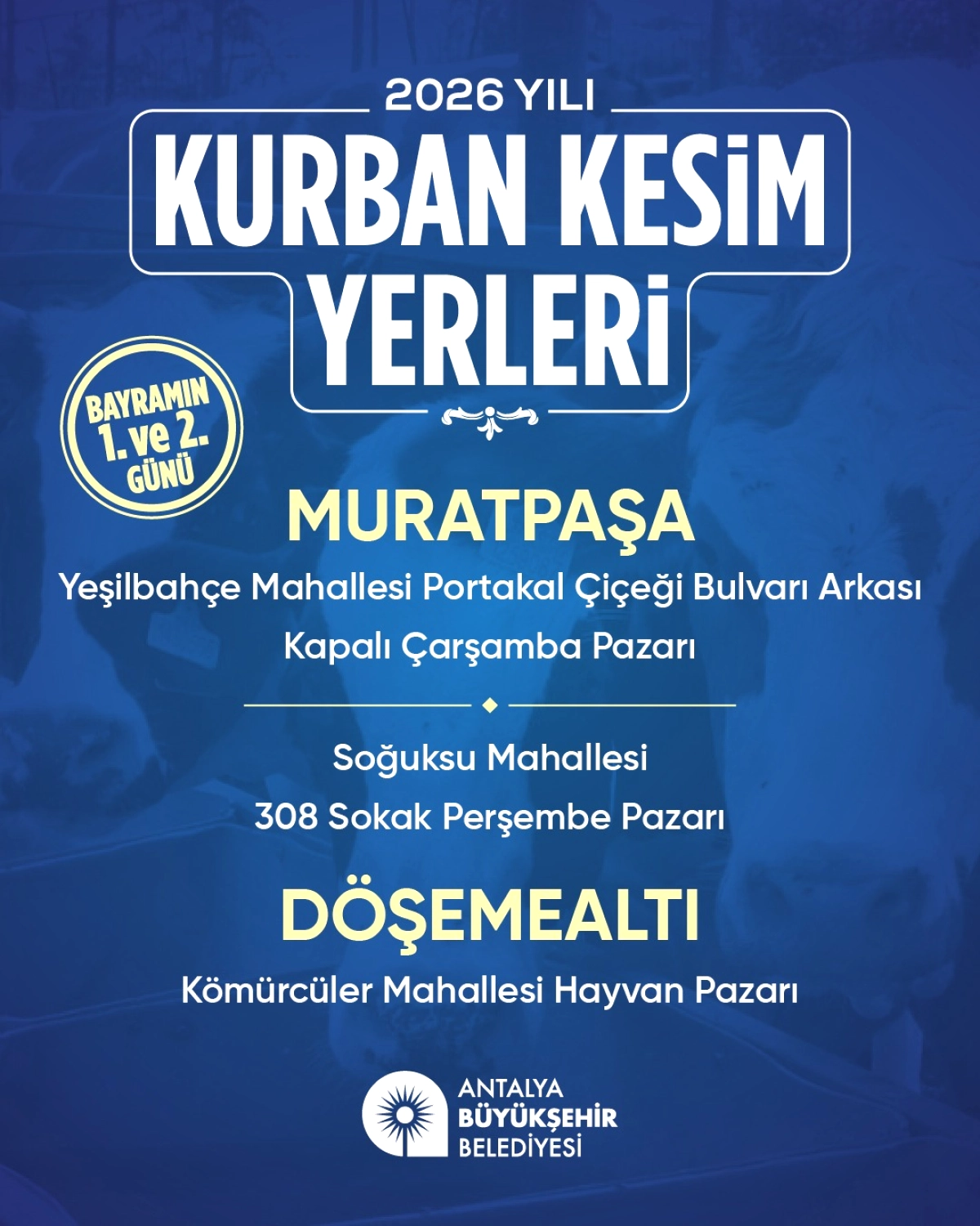 Antalya’da Kurban Bayramı Hazırlığı: 6 Noktada Ücretsiz Kesim Hizmeti