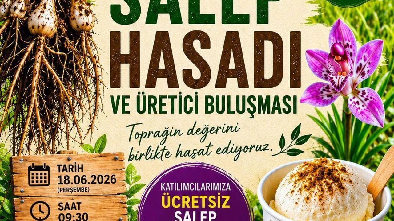Alanya’da Salep Hasadı Başlıyor: Üretici Buluşması Kestel’de Yapılacak